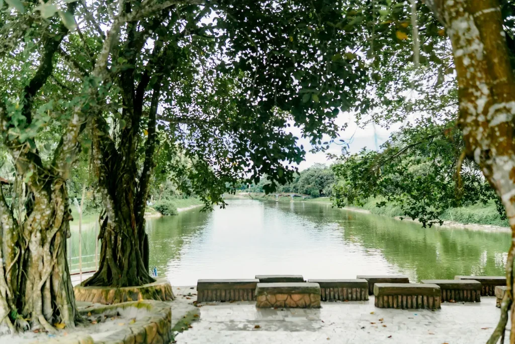 Lake 4