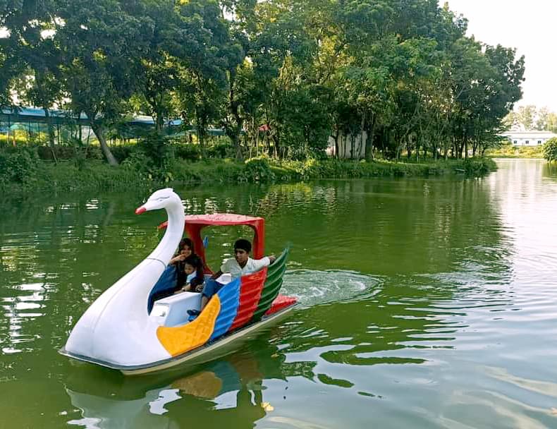 Paddle Boat